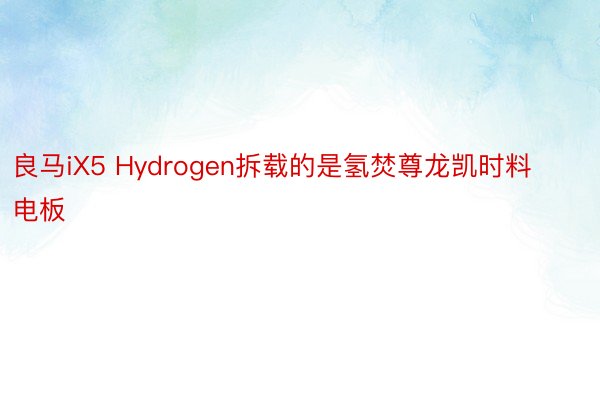 良马iX5 Hydrogen拆载的是氢焚尊龙凯时料电板