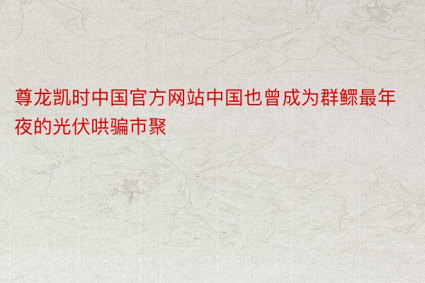 尊龙凯时中国官方网站中国也曾成为群鳏最年夜的光伏哄骗市聚