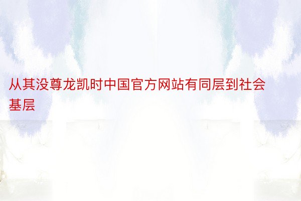 从其没尊龙凯时中国官方网站有同层到社会基层