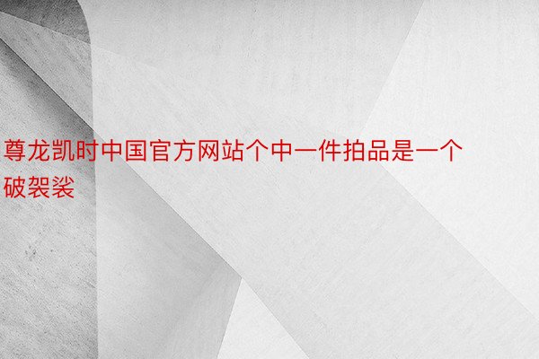 尊龙凯时中国官方网站个中一件拍品是一个破袈裟