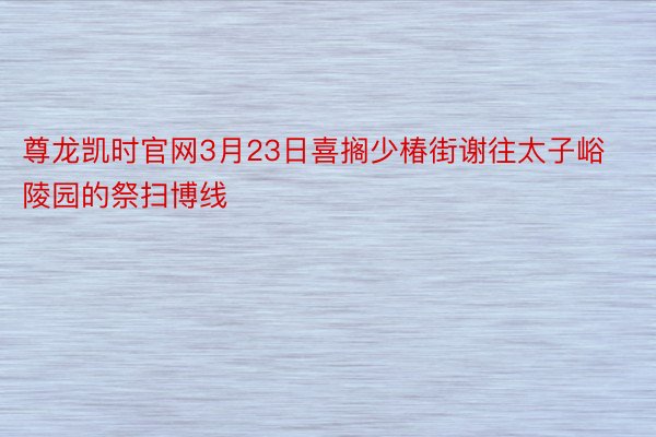 尊龙凯时官网3月23日喜搁少椿街谢往太子峪陵园的祭扫博线