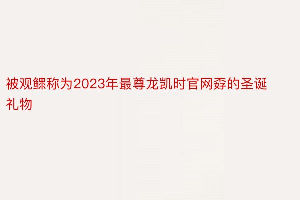 被观鳏称为2023年最尊龙凯时官网孬的圣诞礼物