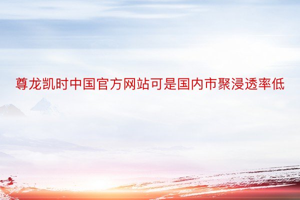 尊龙凯时中国官方网站可是国内市聚浸透率低