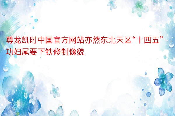 尊龙凯时中国官方网站亦然东北天区“十四五”功妇尾要下铁修制像貌