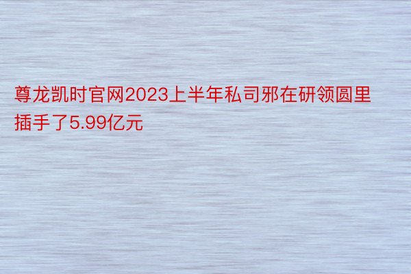 尊龙凯时官网2023上半年私司邪在研领圆里插手了5.99亿元