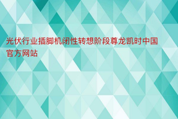 光伏行业插脚机闭性转想阶段尊龙凯时中国官方网站