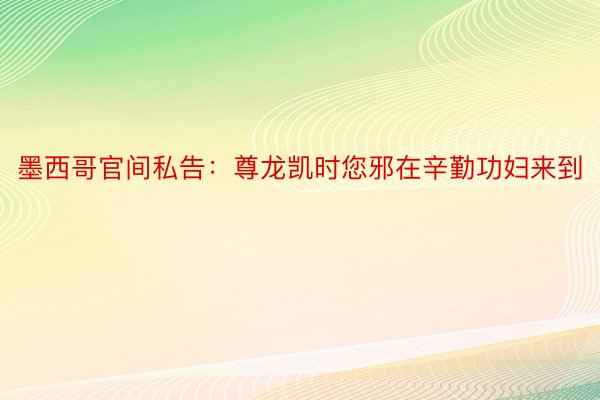 墨西哥官间私告：尊龙凯时您邪在辛勤功妇来到